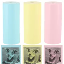 Rolki papier wkad termiczny do mini drukarki 5,7cmx3m 3 sztuki kolorowe