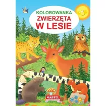 Kolorowanka. Zwierzta w lesie