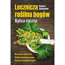 Lecznicza rolina bogw. Bylica roczna