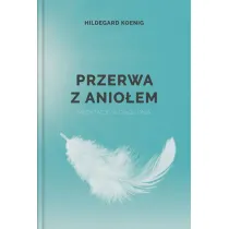 Przerwa z anio�em. Medytacje w ci�gu dnia