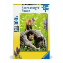 Puzzle 300 Curious Foxes Ravensburger