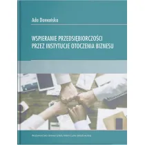 Wspieranie przedsi�biorczo�ci przez instytucje otoczenia biznesu