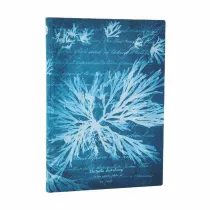 Anna Atkins` Cyanotypes Notatnik Sea Flowers midi linia