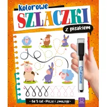 Kolorowe szlaczki z pisakiem Pisz i zmazuj 5 lat