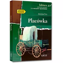 Placwka