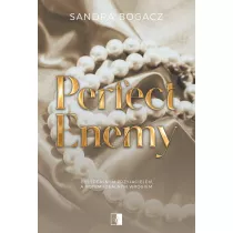 Perfect Enemy. The Enemies. Tom 1