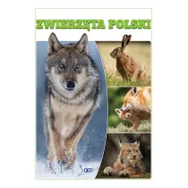 Zwierzta Polski