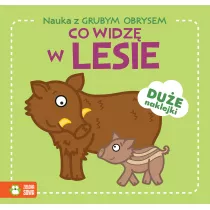 Co widz w lesie. Nauka z grubym obrysem