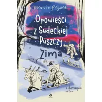 Opowieci z Sudeckiej Puszczy Zima