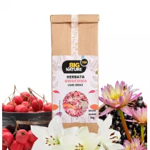 Big Nature Herbata owocowa Lwie Serce 30 g