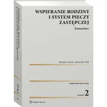 Wspieranie rodziny i system pieczy zast�pczej. Komentarz