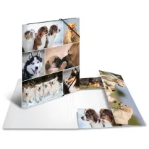 Herma Teczka A4 gumki narone - Psy