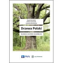 Drzewa polski