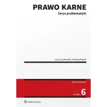 Prawo karne. Zarys problematyki (wyd. 6)