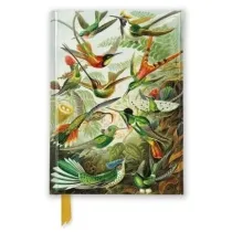 Flame Tree Notatnik A6 linia TW Kolibry Ernst Haeckel