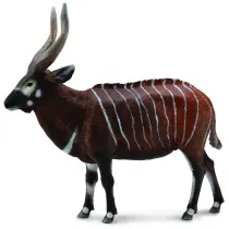 Antylopa bongo