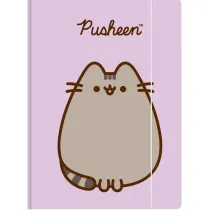 Teczka z gumk A4 300 g/m2 PUSHEEN