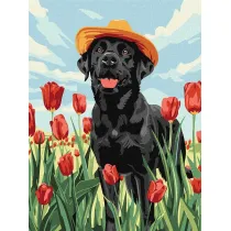 Ideyka Malowanie po numerach - Uroczy labrador 30x40cm
