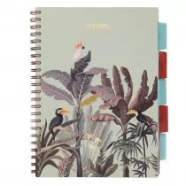 Koozeszyt Strigo A4 Project Book Afryka pastelowo zielony w kratk