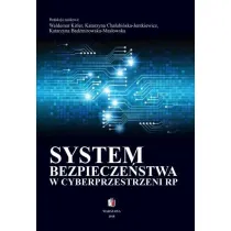 System bezpiecze�stwa w cyberprzestrzeni RP