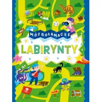 Mzgoamacze. Labirynty