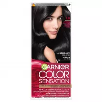 Garnier Farba do w�os�w 1.0 G��boka Onyksowa Czer�