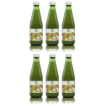 Bio Food Sok z seler�w kiszonych zestaw 6 x 300 ml Bio