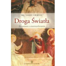 Droga �wiat�a. Rozwa�ania o Zmartwychwstaniu