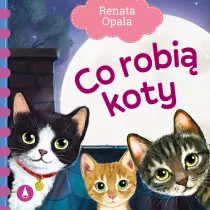 Co robi koty