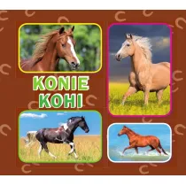 Konie