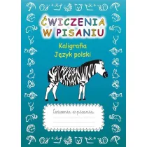 �wiczenia w pisaniu. Kaligrafia J.Polski (z zebr�)