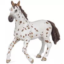 Klacz Appaloosa