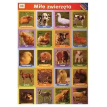 50 zada� na poprawienie sprawno�ci umys�owej. �amig��wki m�drej g��wki