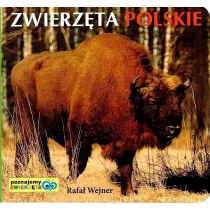 Poznajemy zwierzta. Zwierzta polskie LIWONA