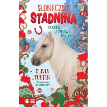 Sandra i zimowy kucyk. Soneczna Stadnina. Tom 7