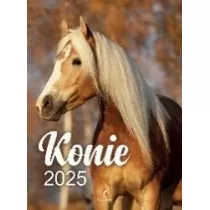 Kalendarz 2025 wieloplanszowy B4 Konie