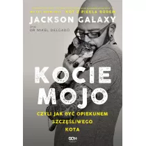 Kocie Mojo