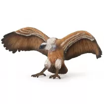 S�p p�owy