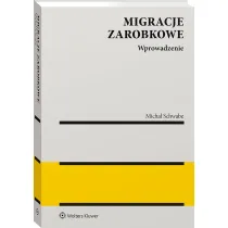 Migracje zarobkowe. Wprowadzenie do analizy