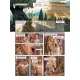 Zdjecie nr 2