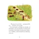Zdjecie nr 6