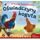 Zdjecie nr 1