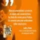 Zdjecie nr 5