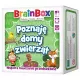 Zdjecie nr 1