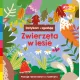 Zdjecie nr 1