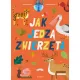 Zdjecie nr 1