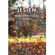 Zdjecie nr 1