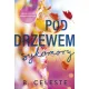 Zdjecie nr 1