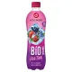 Hollinger Nap�j ice tea o smaku owoc�w le�nych 500 ml Bio