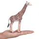 Zdjecie nr 2